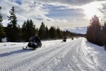 Snowmobile riders following a snow-covered trail through a forest.